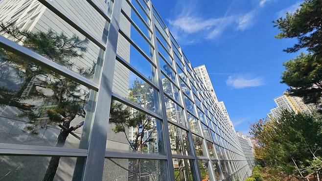 도로에 설치된 투명한 방음벽은 날아다니는 새를 다치게 하거나 생명을 위협하기도 한다. ⓒ권가현 제공