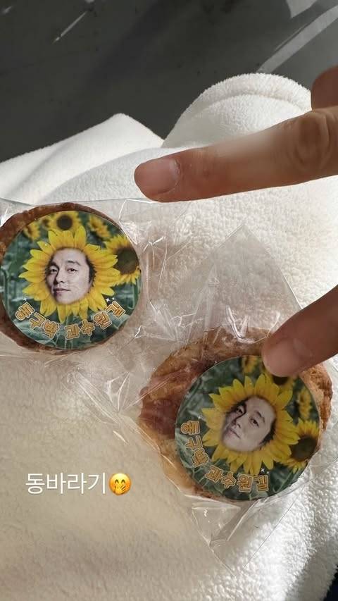 송혜교가 인증한 커피차 쿠키. 사진|송혜교 SNS