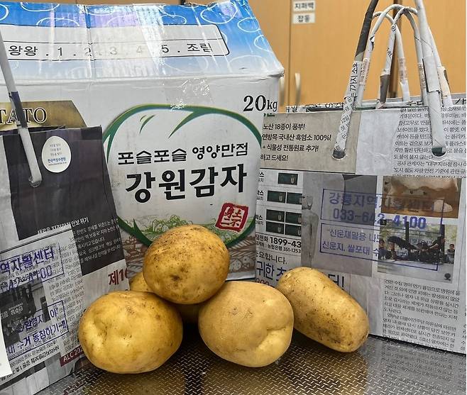 신문지 가방에 담을 지역에서 생산된 감자 [한국여성수련원 제공. 재판매 및 DB 금지]