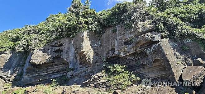 화산재 퇴적 제주 해변 응회암층 (제주=연합뉴스) 김호천 기자 = 2025 제주도 세계지질공원 산방산 용머리해안 지질트레일 코스에 있는 화순해수욕장 인근 사근다리 응회암층. 2025.7.26 khc@yna.co.kr