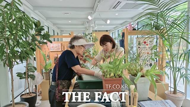 시는 반려식물 보급 외에도 '반려식물 클리닉'을 운영 중이다. 지난해 1만 4000건의 진단·처방이 이뤄졌다./서울시