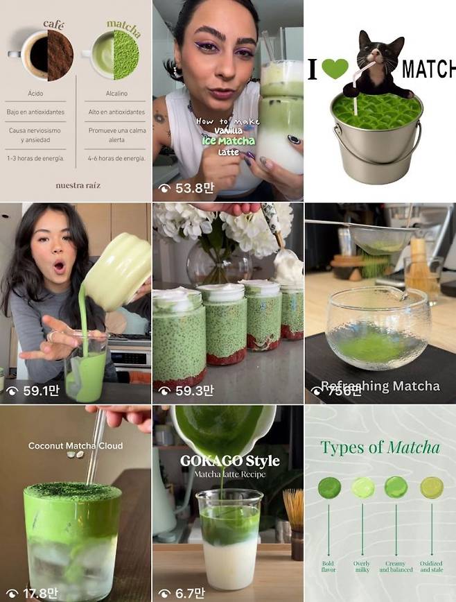 말차 유행에 힘입어 해당 영상이 가득한 SNS 상황.