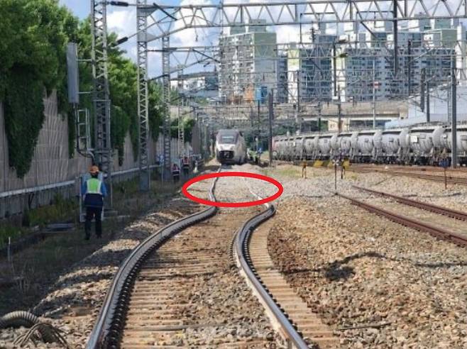 2022년 7월 탈선사고가 있었던 대전조차장역 부근에서 발견된 '장출' 추정 모습. 사진 코레일