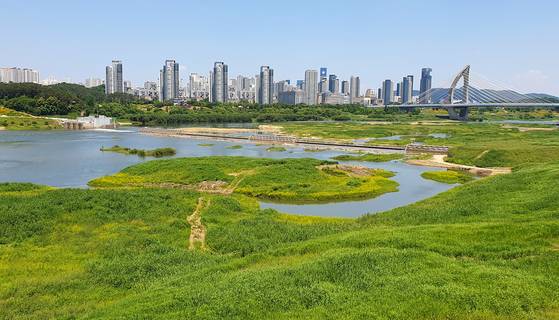 세종시 세종동 금강 세종보 전경. 중앙포토