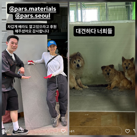 이효리는 자신의 인스타그램 스토리를 통해 유기견 보호소에서 찍은 사진을 공개했다.사진=이효리 sns