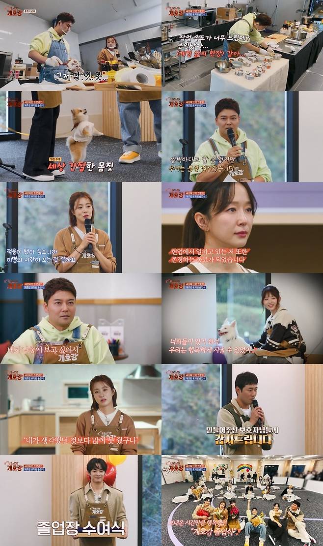 ‘집 나가면 개호강’. 사진| JTBC