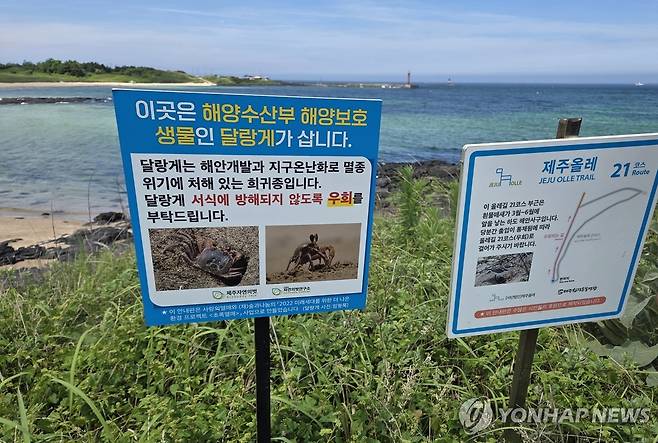 제주 해안사구의 달랑게 보호 팻말 [촬영 고성식]
