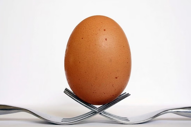 달걀