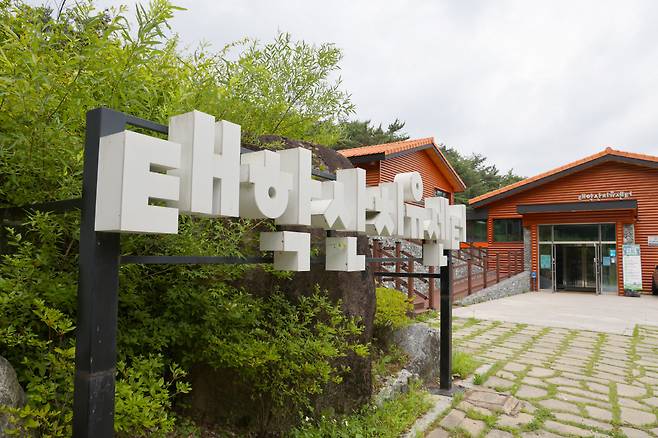 ◇태학산자연휴양림에는 숲을 활용한 치유센터가 있따. 시간별로 5000원~1만5000원까지 저렴하게 이용할 수 있다. 사진제공=지엔씨21