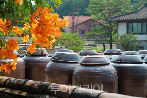 안성 서일농원. /사진-경기관광공사