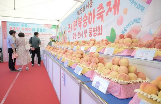 제23회 세종 조치원복숭아 축제. 세종시 제공