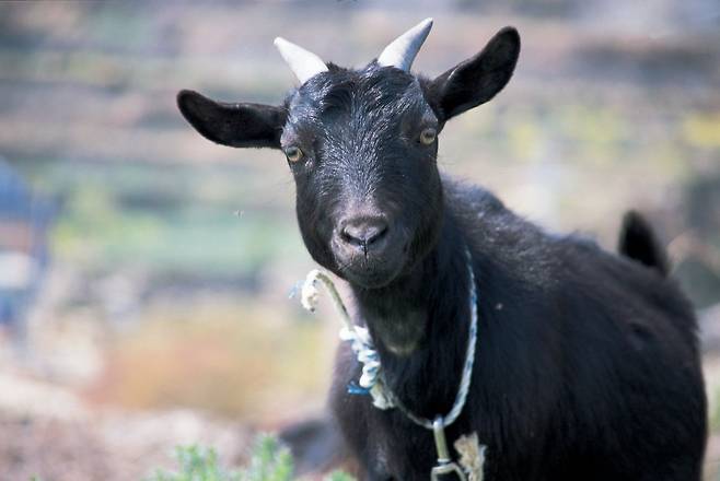 기사 이해를 돕기 위한 사진으로 기사 내용과 직접적인 연관은 없습니다. 게티이미지뱅크