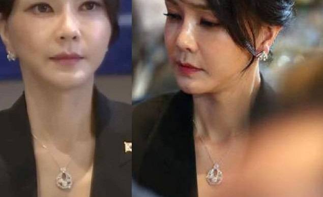 김건희 여사가 나토 정상회의 참석 때 착용한 목걸이. [사진출처 = 김의겸 더불어민주당 의원 페이스북]