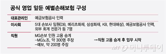 공식 영업 앞둔 예별손해보험 구성/그래픽=최헌정