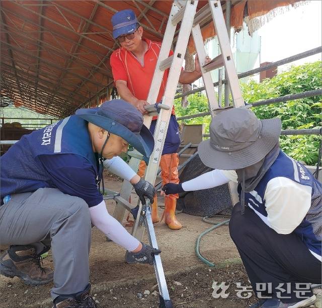 경기 양평군농업기술센터에서 농작업안전관리자로 활동하는 김경호씨(55·앞줄 왼쪽부터)와 권영주씨(44)가 지역농가를 방문해 흔들거리는 사다리에 전도방지대를 부착하고 있다.