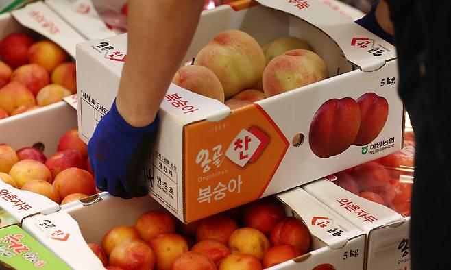 무더위가 지속되며 여름철 채소와 과일 소매 가격이 급등했다. 27일 서울 동대문구 청량리종합시장 한 가게에 복숭아가 진열돼 있다. 연합뉴스