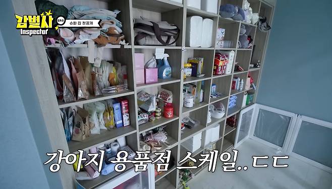 유튜브 ‘감별사’ 캡처.