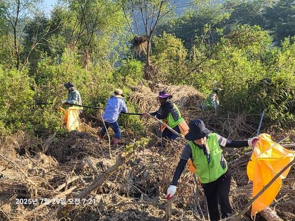 ▲ 청주시 자연환경보전협의회원들이 29일 옥산면 병천천 일원서 환경정화활동을 벌이고 있다. 청주시 자연환경보전협의회 제공