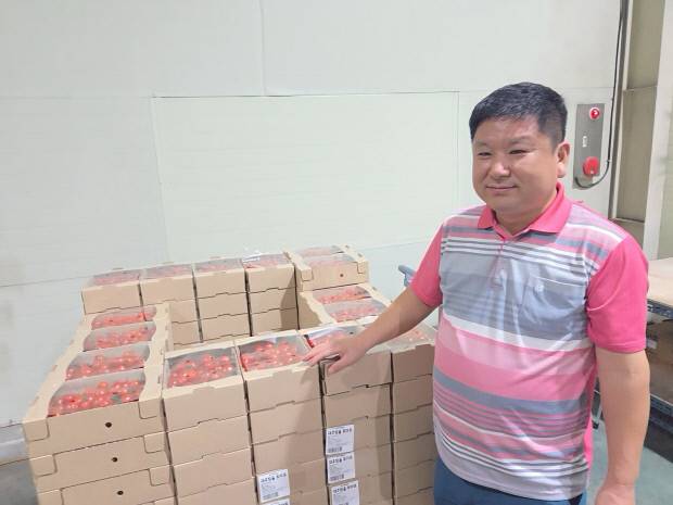 영농조합법인 광수 김현성 대표가 주력 상품인 작업장 내 포장된 방울토마토를 둘러보고 있다.