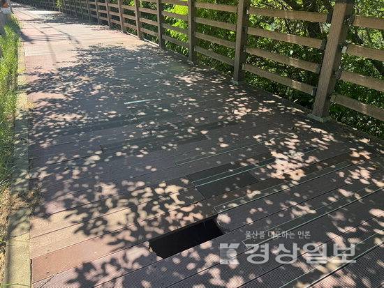 ▲ 울산 동구 방어진순환도로 보행데크의 상판 일부가 나무가 빠지면서 속이 훤히 드러난 상태로 남아있다.