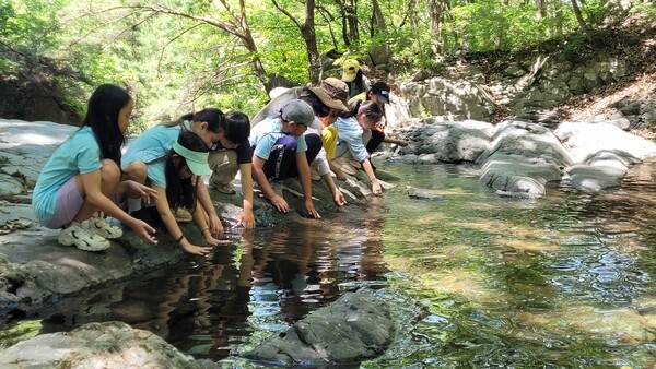 밀양 산외초등학교 아이들이 ㈔밀양사자평습지와 재약산생태관광협의회 재약산 국가생태탐방로에서 생태체험을 하고 있다. /밀양 생태관광협의회