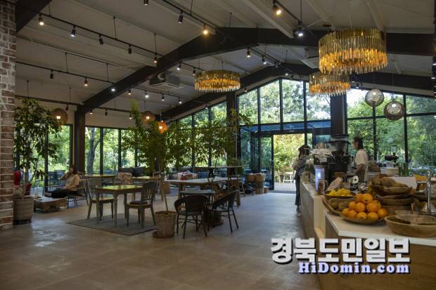 카페 본관은 넓고 탁 트인 공간으로, 자연을 온전히 감상할 수 있도록 유리창이 넓게 나 있어 사계절의 변화를 실내에서도 느낄 수 있다. 사진=야생화일기 제공