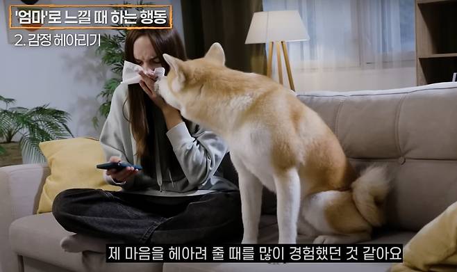 반려견은 보호자의 감정을 땀 냄새를 통해 파악할 수 있다는 연구 결과도 있다(유튜브 이태호 수의사의 반려동물 진료실 갈무리). ⓒ 뉴스1