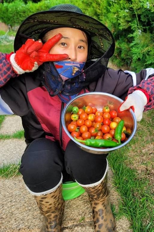 마야SNS