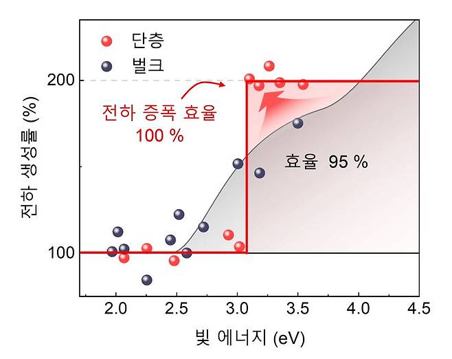 단일층 MoSe2에서의 빛에 의해 생성된 전자가 캐리어증폭을 통해 100% 증폭 효율을 달성하며, 전하 생성률 200% (양자효율기준)를 구현한 결과. 부산대 제공