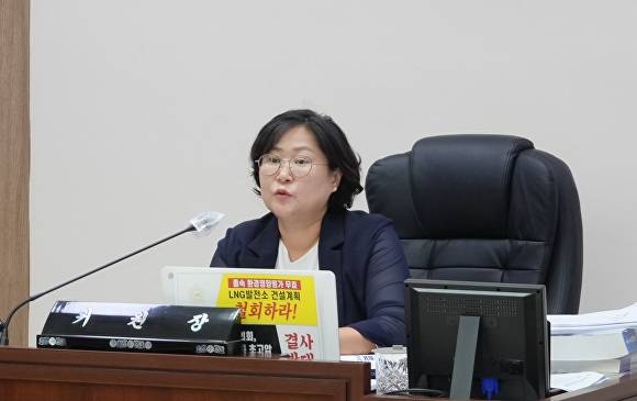 이관실 안성시의회 예산결산특별위원장. [사진=안성시의회]