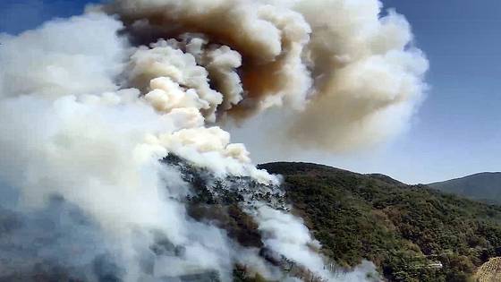 Smoke billows out from a forested hill in Okjong-myeon, Hadong County, South Gyeongsang, on April 7. [KOREA FOREST SERVICE]