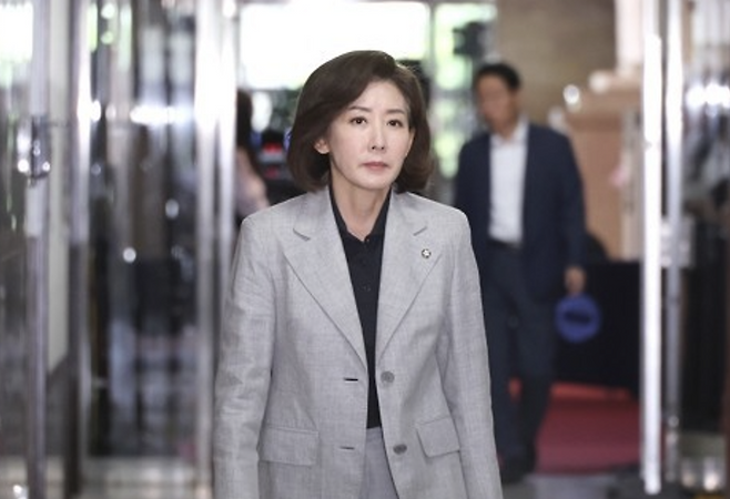 국민의힘 나경원 의원