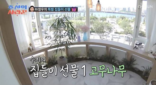 [서울=뉴시스] 지난 28일 방송된 TV조선 '조선의 사랑꾼'에서 개그우먼 김지민이 신혼집을 공개했다. (사진=TV조선 '조선의 사랑꾼' 캡처) 2025.07.29. photo@newsis.com *재판매 및 DB 금지