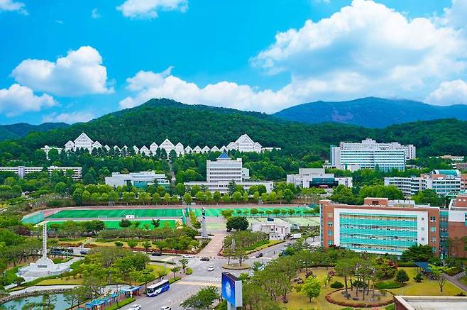[광주=뉴시스] 조선대학교. (사진=뉴시스 DB). photo@newsis.com *재판매 및 DB 금지