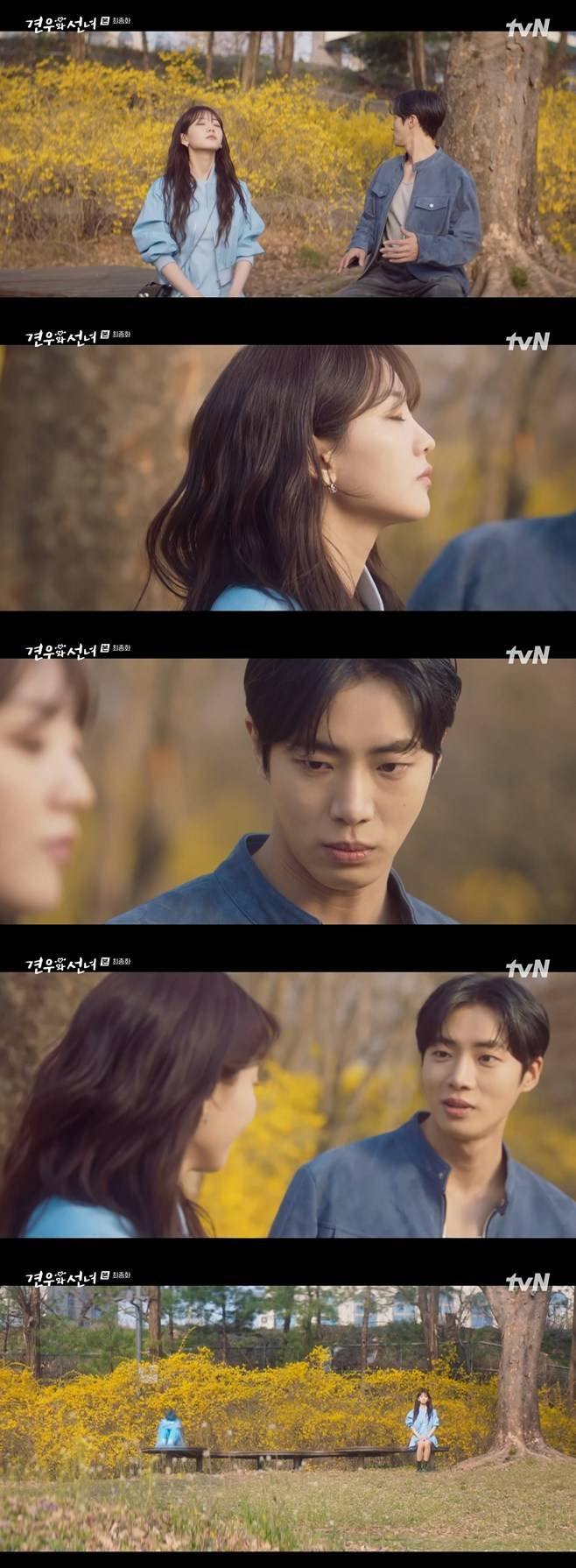 티브이데일리 포토