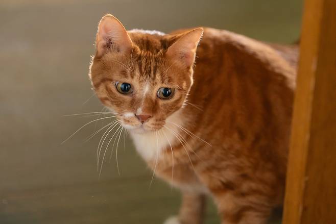 영화 '좀비딸' 속 한 장면 [뉴(NEW)·스튜디오N 제공. 재판매 및 DB금지]