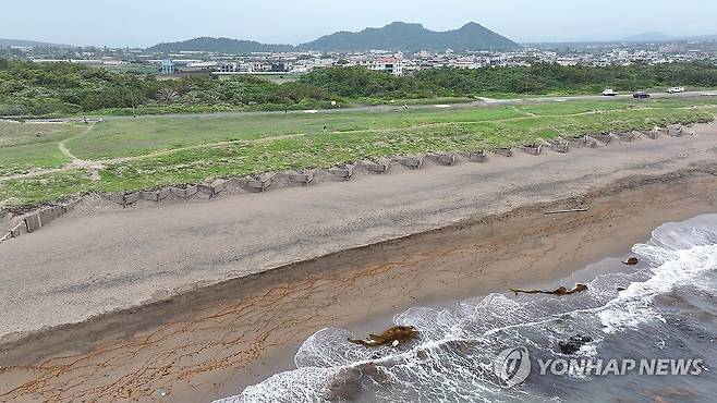사계리 해안사구 산책 (서귀포=연합뉴스) 박지호 기자 = 23일 오전 제주 서귀포시 안덕면 사계리 해안사구를 찾은 이들이 산책하고 있다. 2025.5.23 jihopark@yna.co.kr