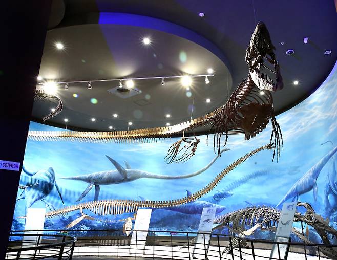 국내에서 최초로 전시되는 해양파충류. /해남공룡박물관 제공