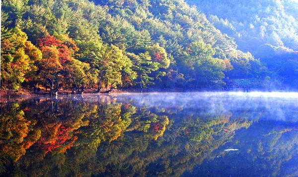 청송 주왕산 주산지에 오색 단풍이 가득 물든 모습. 뉴스1
