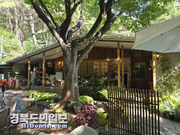 '시크릿가든' 카페는 자연 친화적인 분위기 속에서 방문객들이 편안하게 휴식을 즐기며 커피와 다양한 음료를 맛볼 수 있는 공간을 제공한다. 사진=권택근 기자