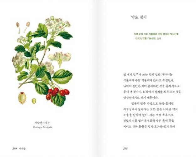 <세계숲> 내부 지면 모습.