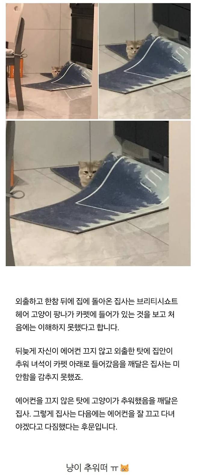 111.png.ren.jpg 에어컨 끄지 않고 외출하고 돌아왔더니...jpg