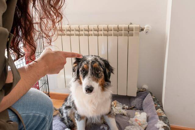 게티이미지뱅크