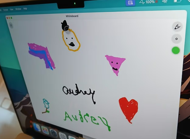 오드리 크루즈가 뉴럴링크 칩을 이식받은 뒤 컴퓨터로 작성한 이미지. 영국 데일리메일 캡쳐