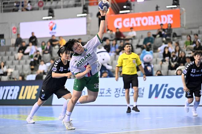H리그 2024~25시즌 경기 모습. 한국핸드볼연맹 제공