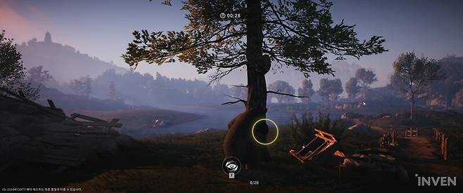 ▲ 벌꿀을 먹으려고 태극권을 쓰는 곰을 훔쳐볼 줄이야