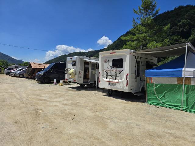 ▲ 신림면 아랫당숲은 최근 SNS를 통해 무료캠핑 명소로 알려지면서 찾아오는 캠핑족으로 가득하다