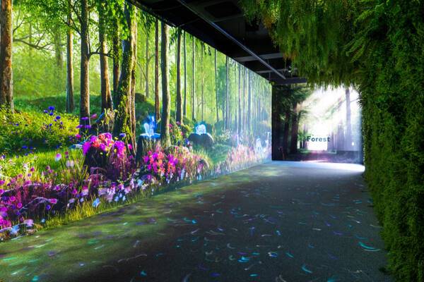 무봉산자연휴양림 입구 디지털 영상 시설. 화성특례시 제공