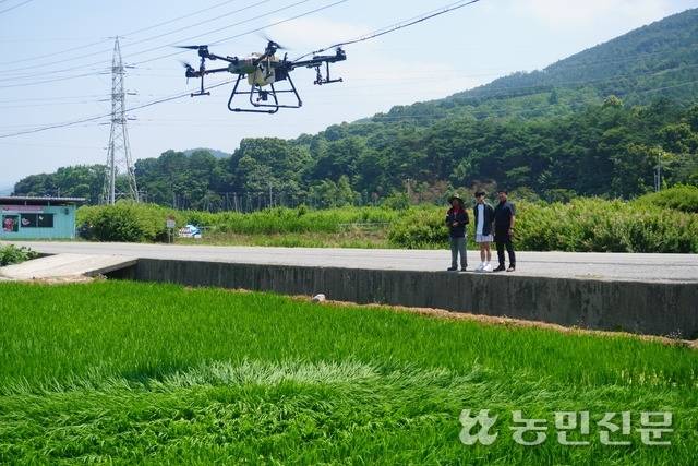 전남 화순 천운농협의 ‘청년농업인 이익공유제’ 참여 청년농들이 드론으로 약제를 살포하는 농작업 대행을 하고 있다.