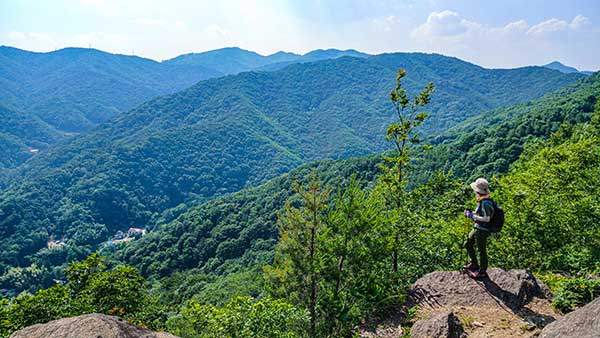 비봉산 능선에서 바라보는 난봉산 주능선.